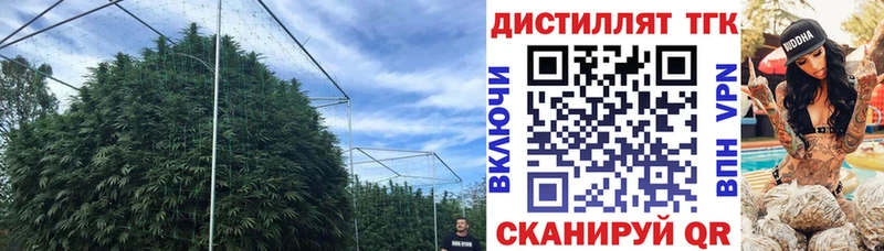 Дистиллят ТГК концентрат  Белоярский 